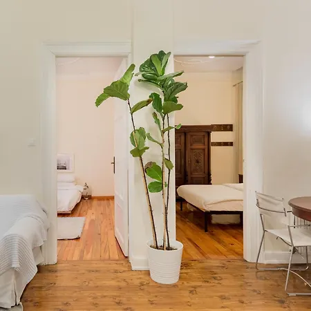 Magnolia By Halu! Elegant In The Center